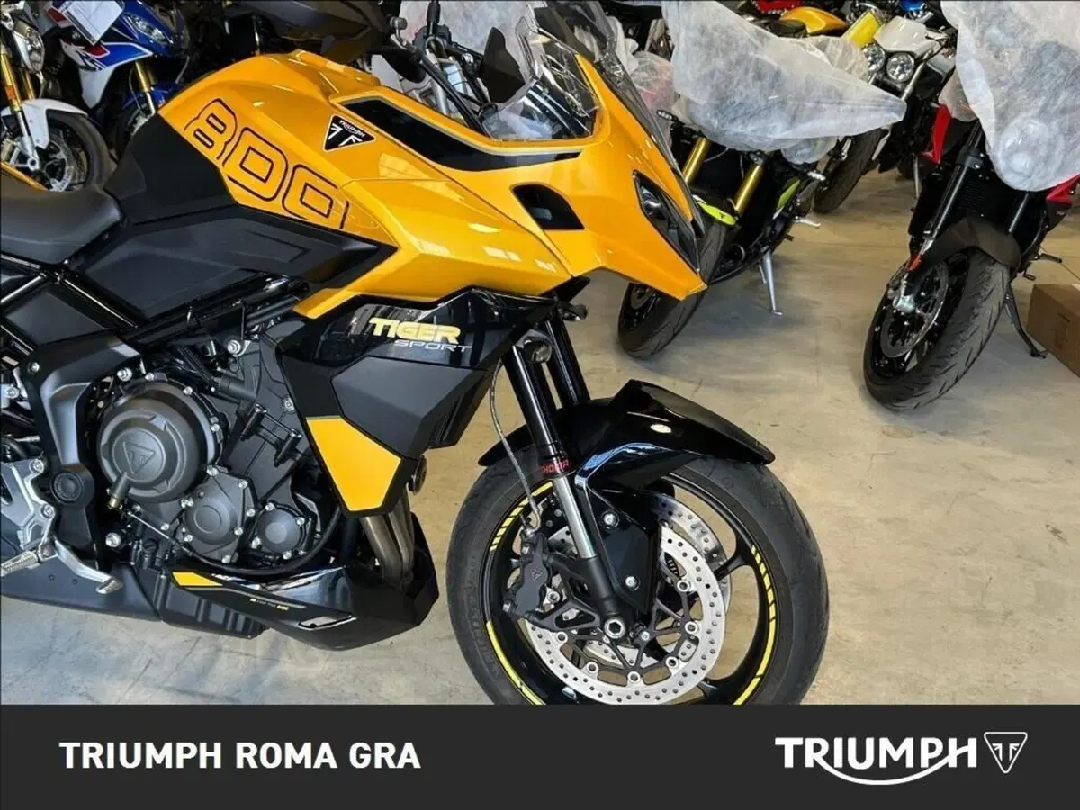 Triumph Tiger Sport 660 (2025) (7)