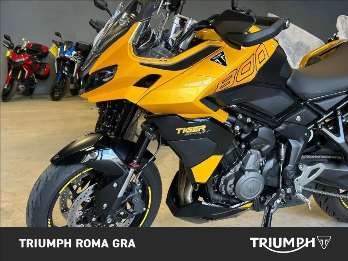 Triumph Tiger Sport 660 (2025) (8)