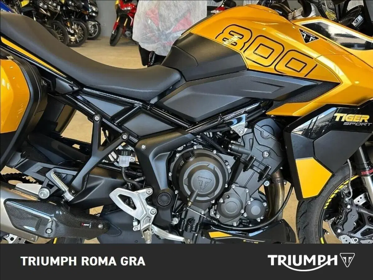Triumph Tiger Sport 660 (2025) (6)