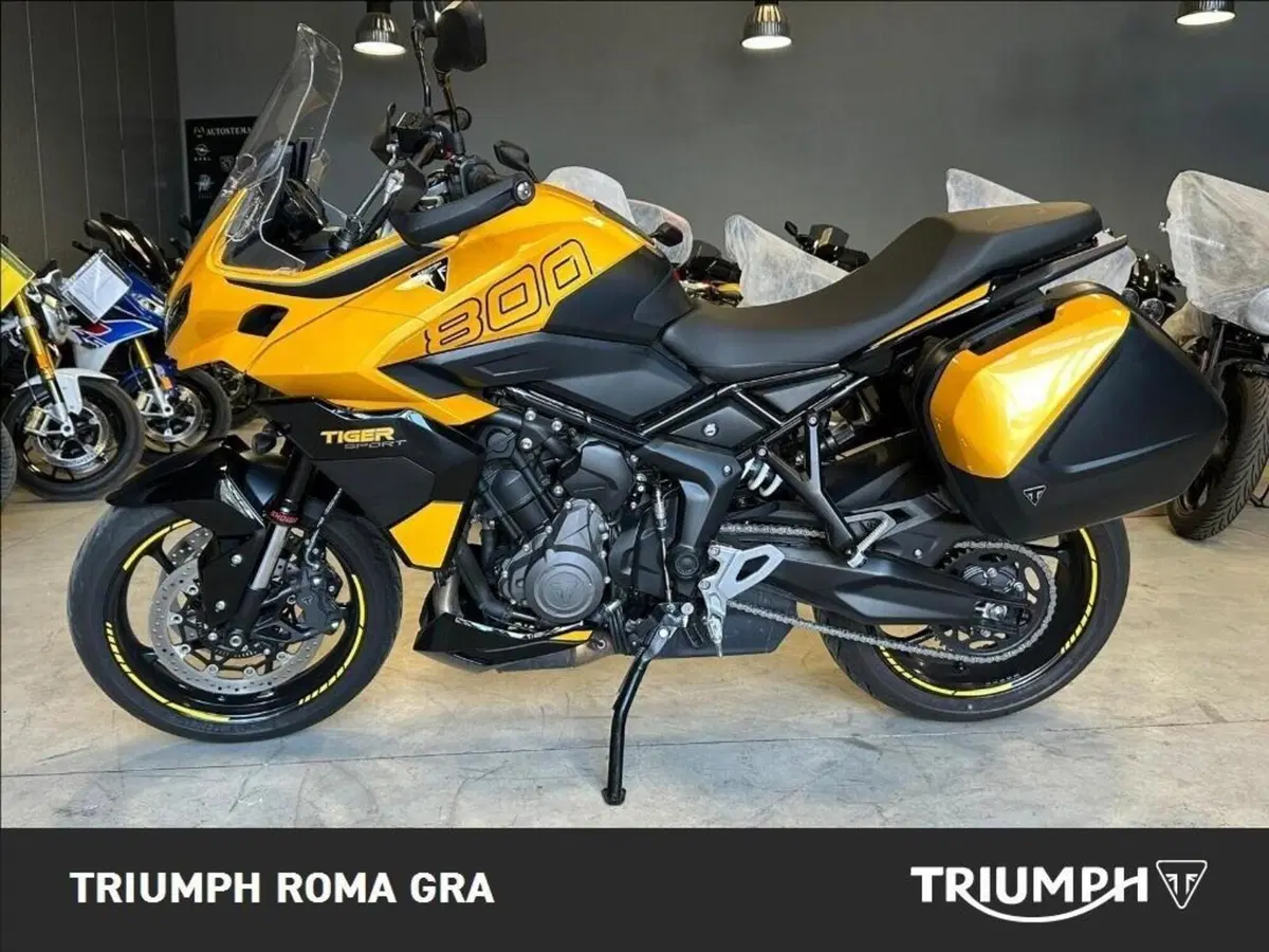 Triumph Tiger Sport 660 (2025) (3)