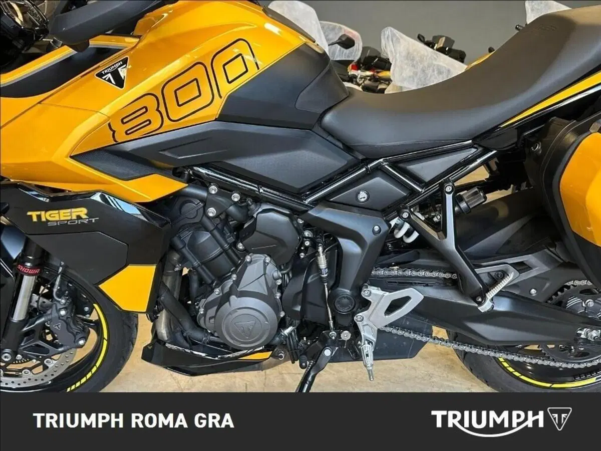 Triumph Tiger Sport 660 (2025) (9)