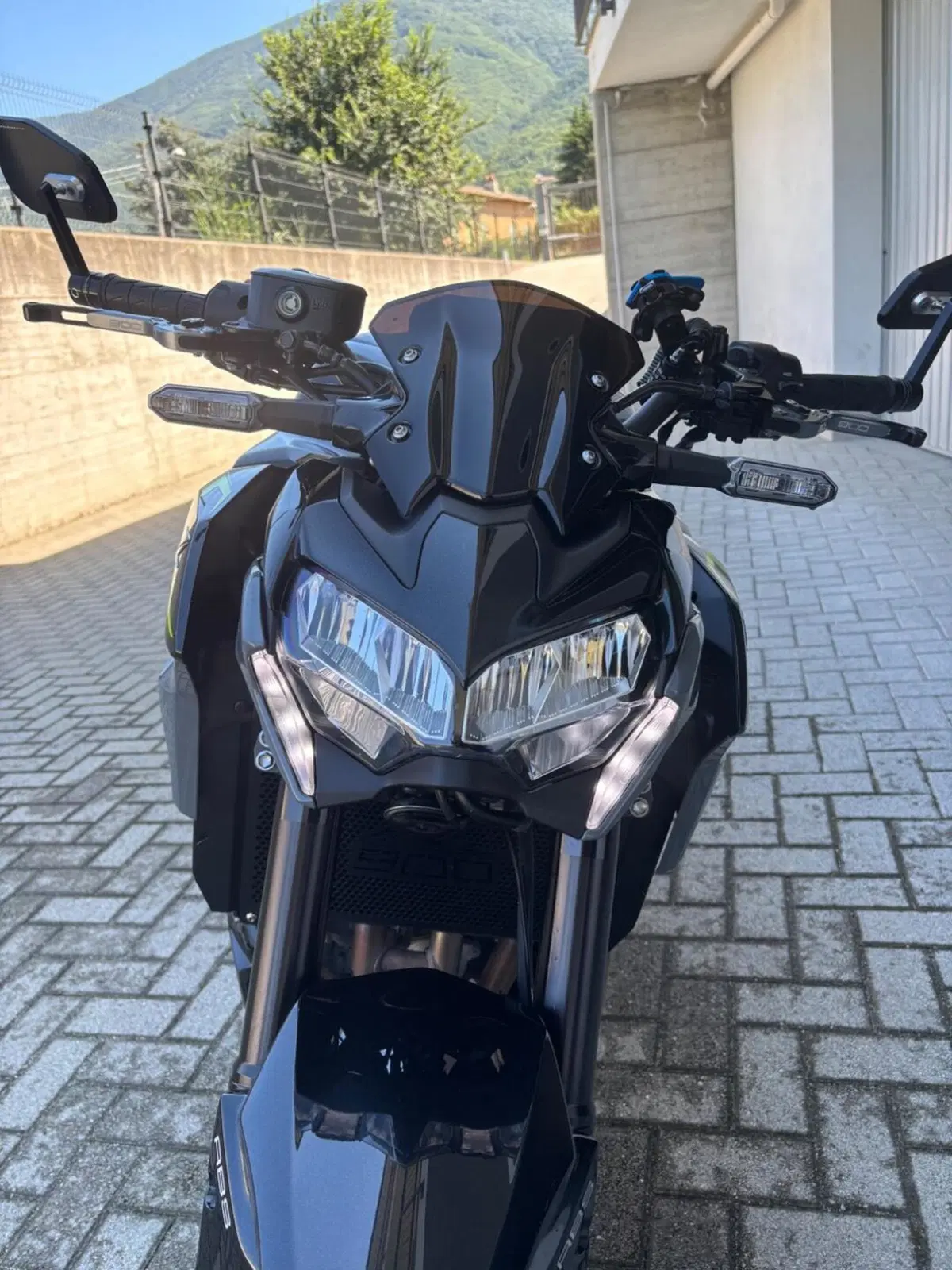 Kawasaki Z 900 (2021 - 24) (6)
