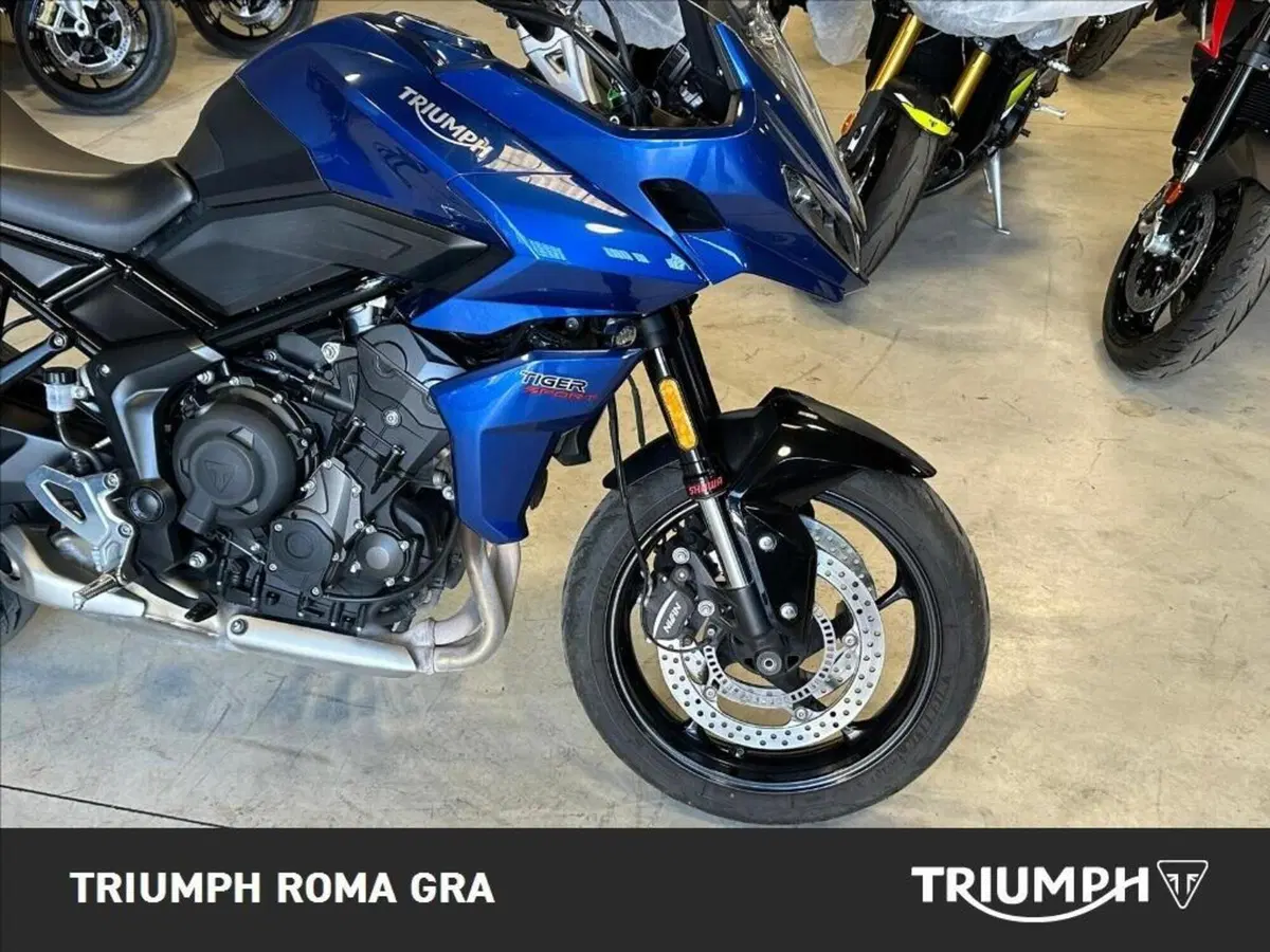 Triumph Tiger Sport 660 (2022 - 24) (10)