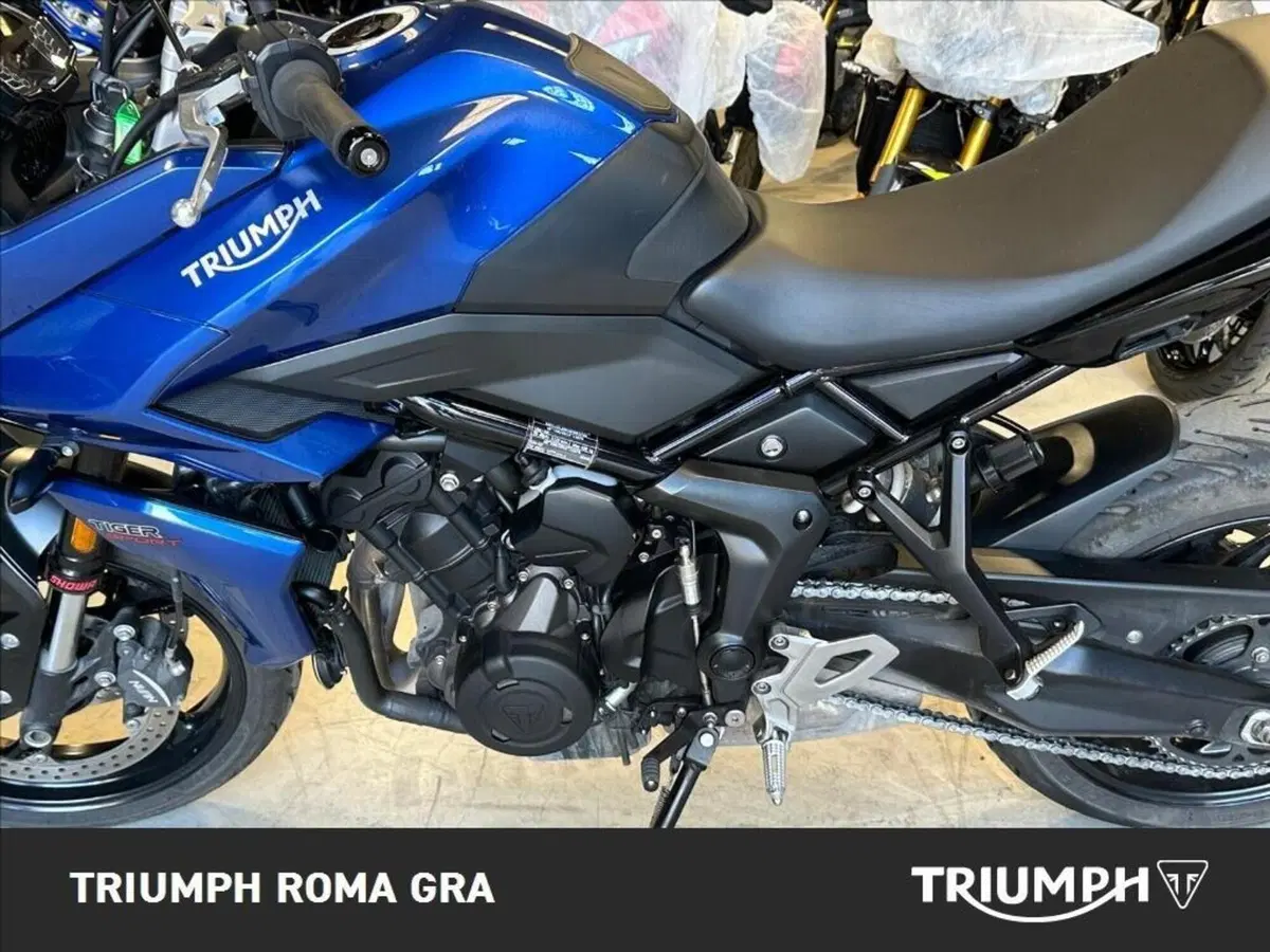 Triumph Tiger Sport 660 (2022 - 24) (6)