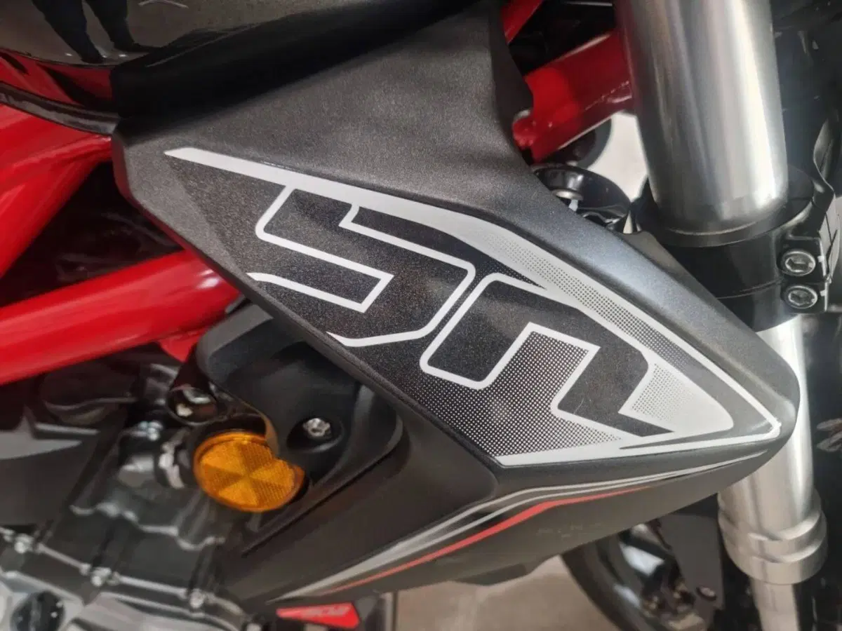 Benelli BN 302 (2017 - 19) (6)