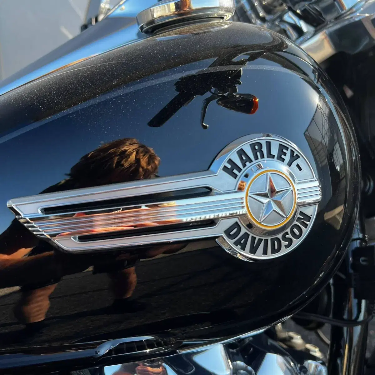 Harley-Davidson Fat Bob 114 (2021 - 25) (4)