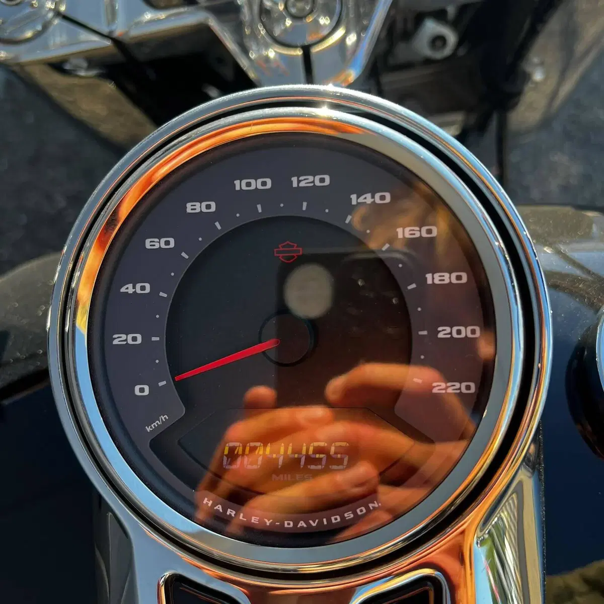 Harley-Davidson Fat Bob 114 (2021 - 25) (7)