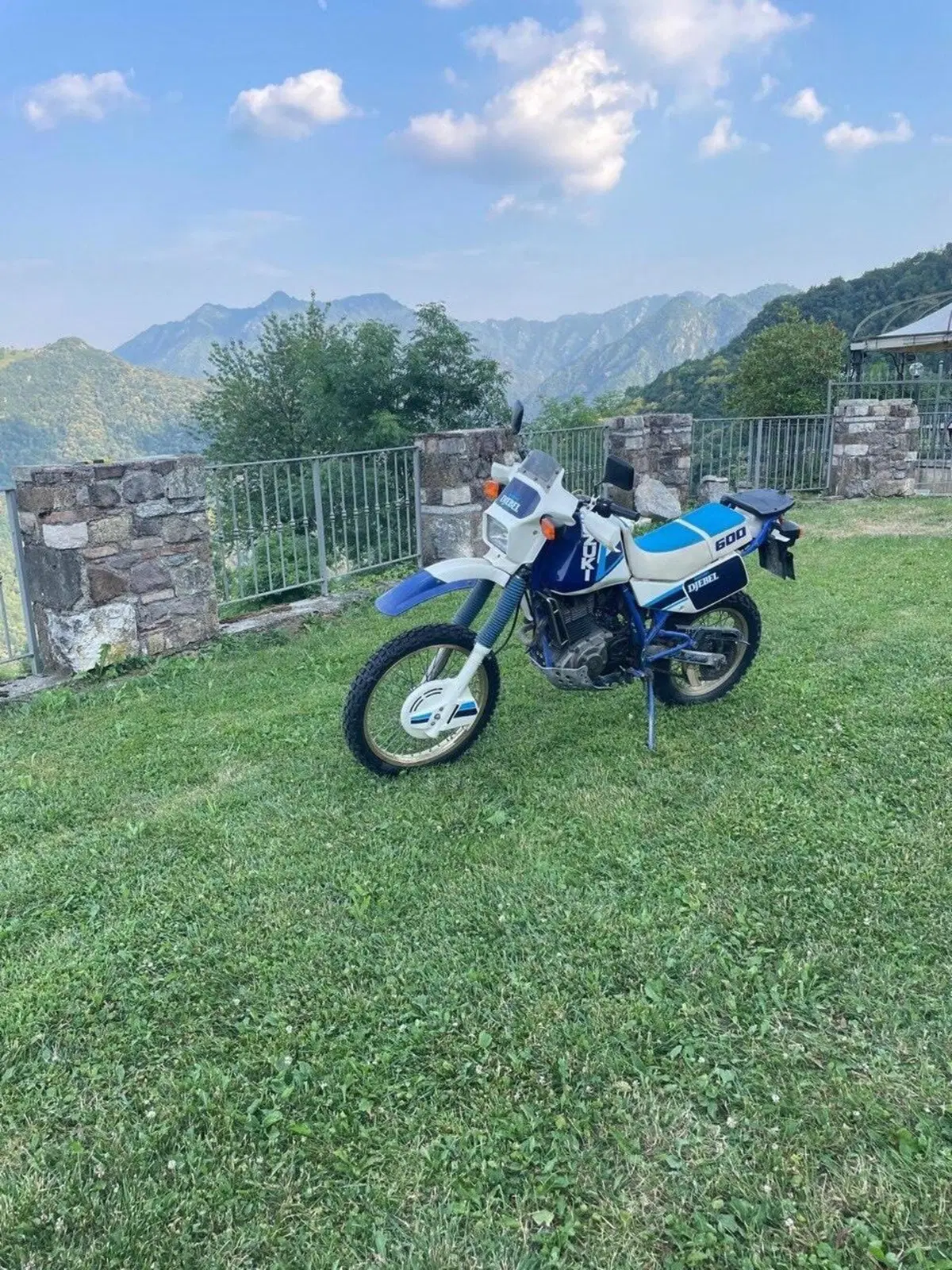 Suzuki DR 600 (3)