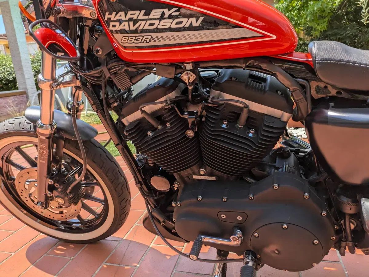 Harley-Davidson 883 R (2006 - 07) - XL 883R (4)