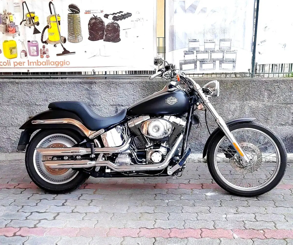 Harley-Davidson 1450 Standard (1999 - 01) - FXSTS (4)