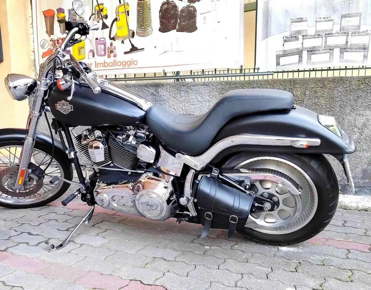 Harley-Davidson 1450 Standard (1999 - 01) - FXSTS (5)