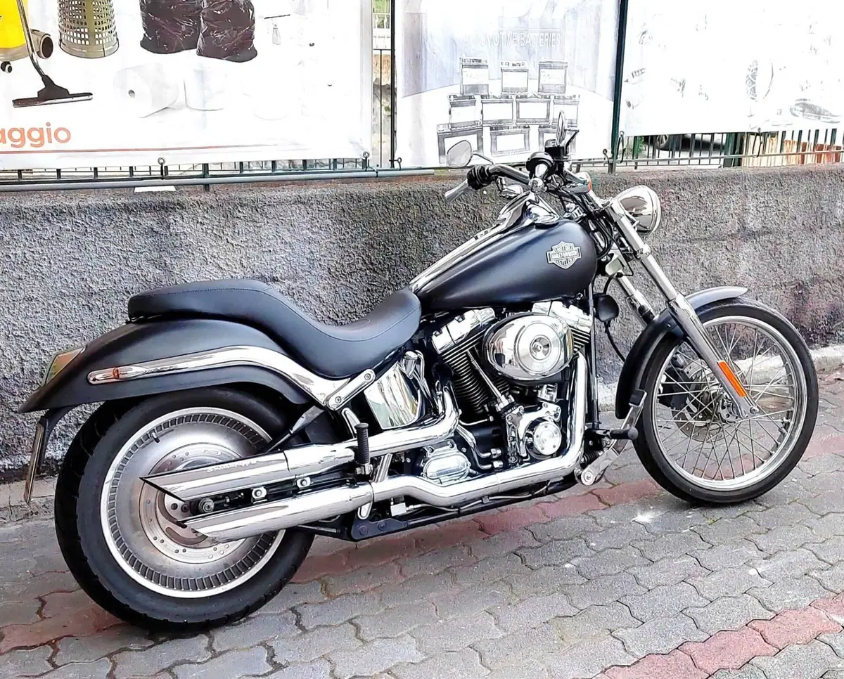 Harley-Davidson 1450 Standard (1999 - 01) - FXSTS (7)