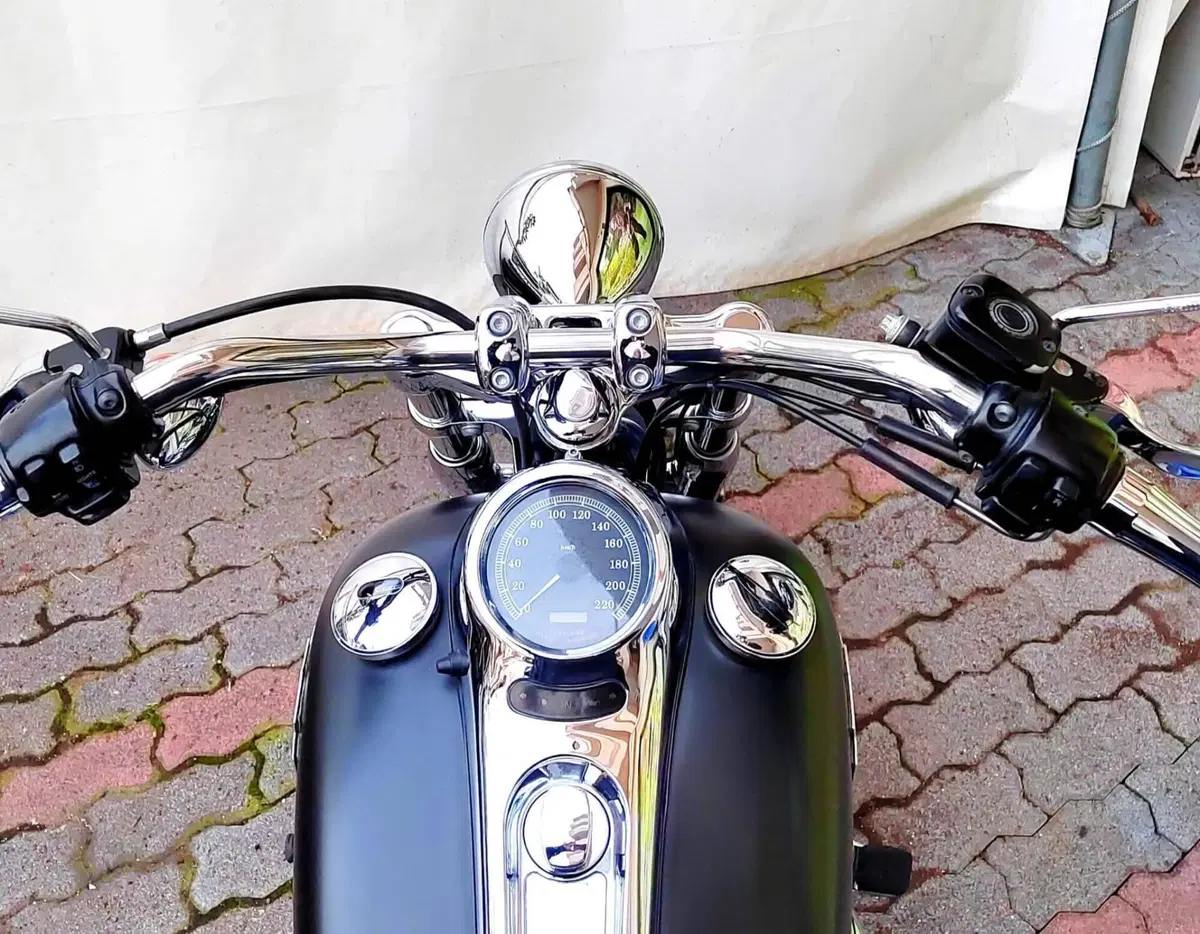 Harley-Davidson 1450 Standard (1999 - 01) - FXSTS (9)