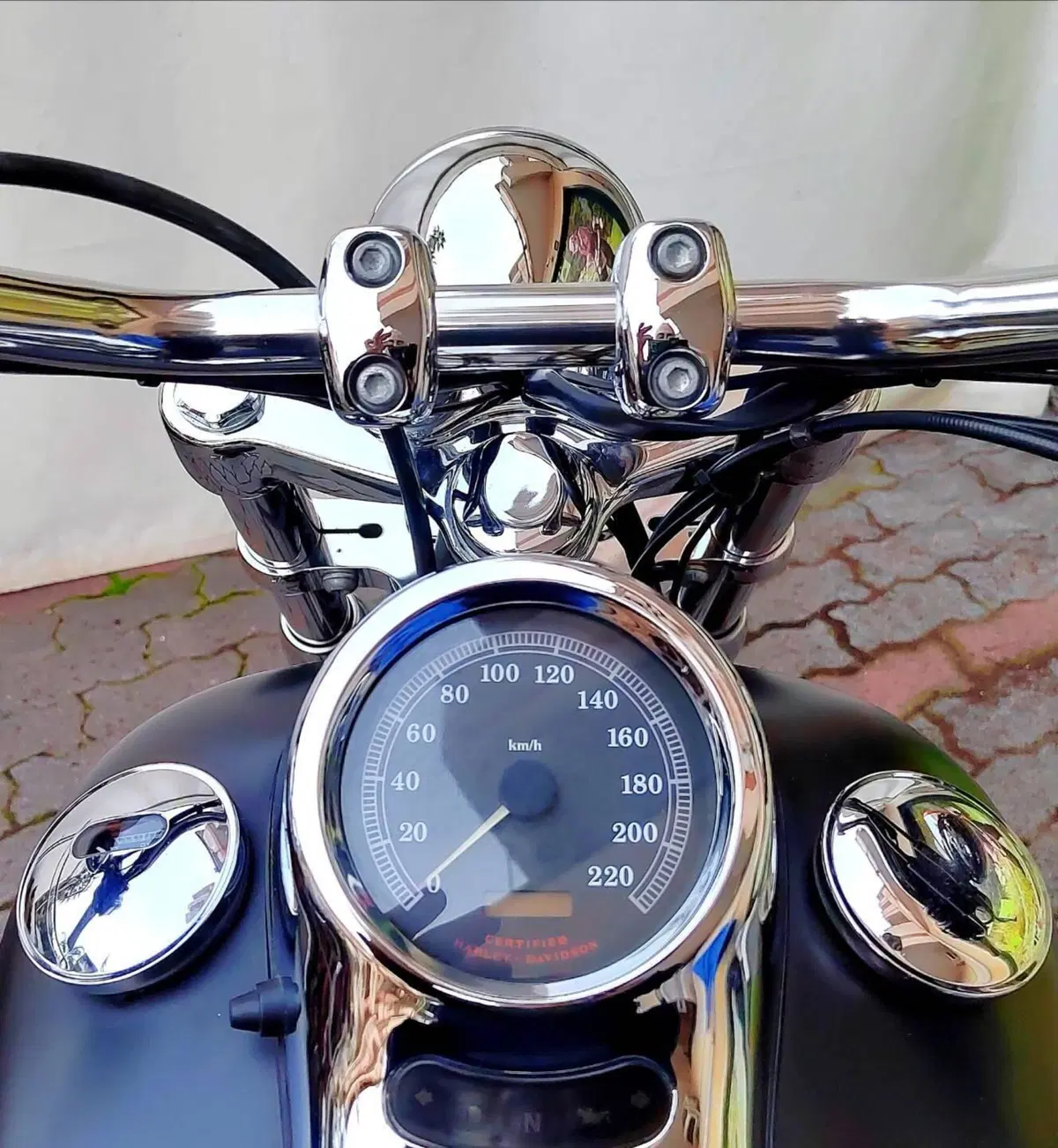 Harley-Davidson 1450 Standard (1999 - 01) - FXSTS (11)