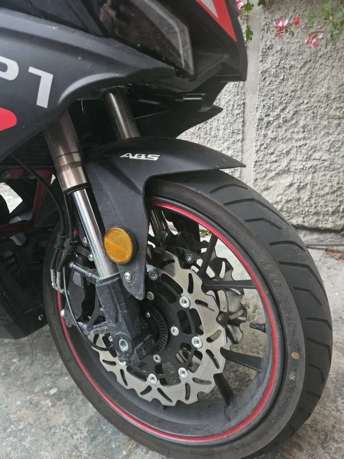 Wottan Motor GP1 125 RS (2025 - 26) (2)
