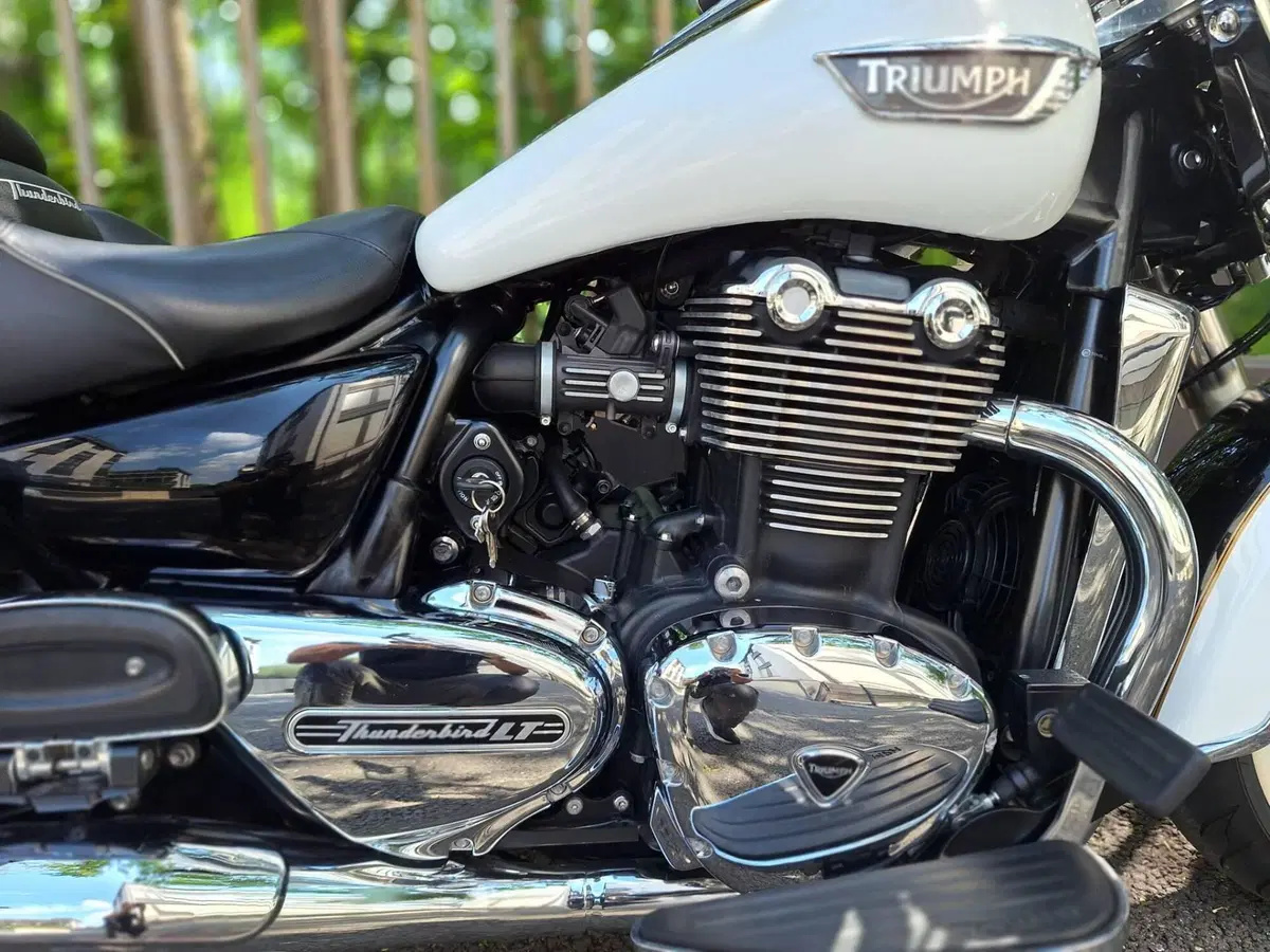Triumph Thunderbird LT ABS (2014 - 15) (4)