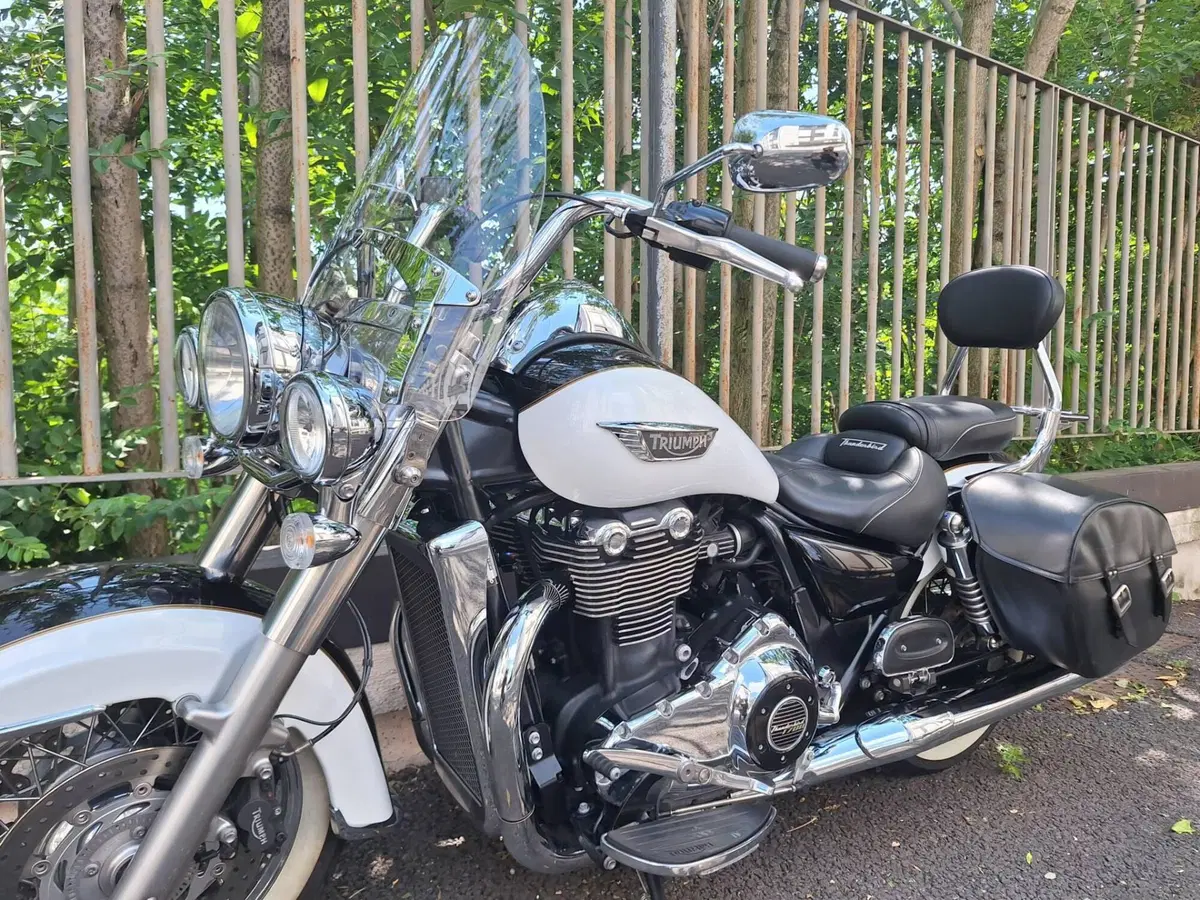 Triumph Thunderbird LT ABS (2014 - 15) (6)