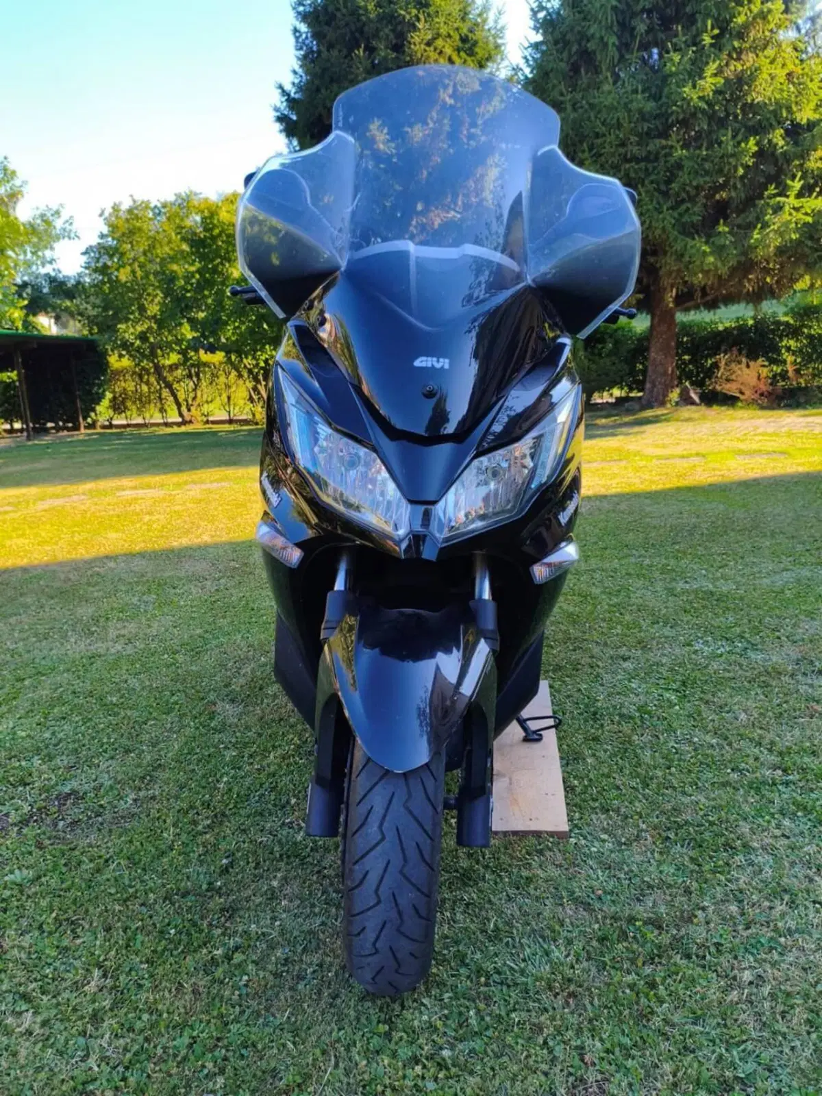 Kawasaki J 300 ABS (2014 - 16) (2)