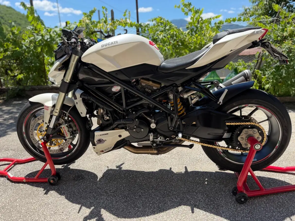 Ducati Streetfighter (2009 - 12) (9)