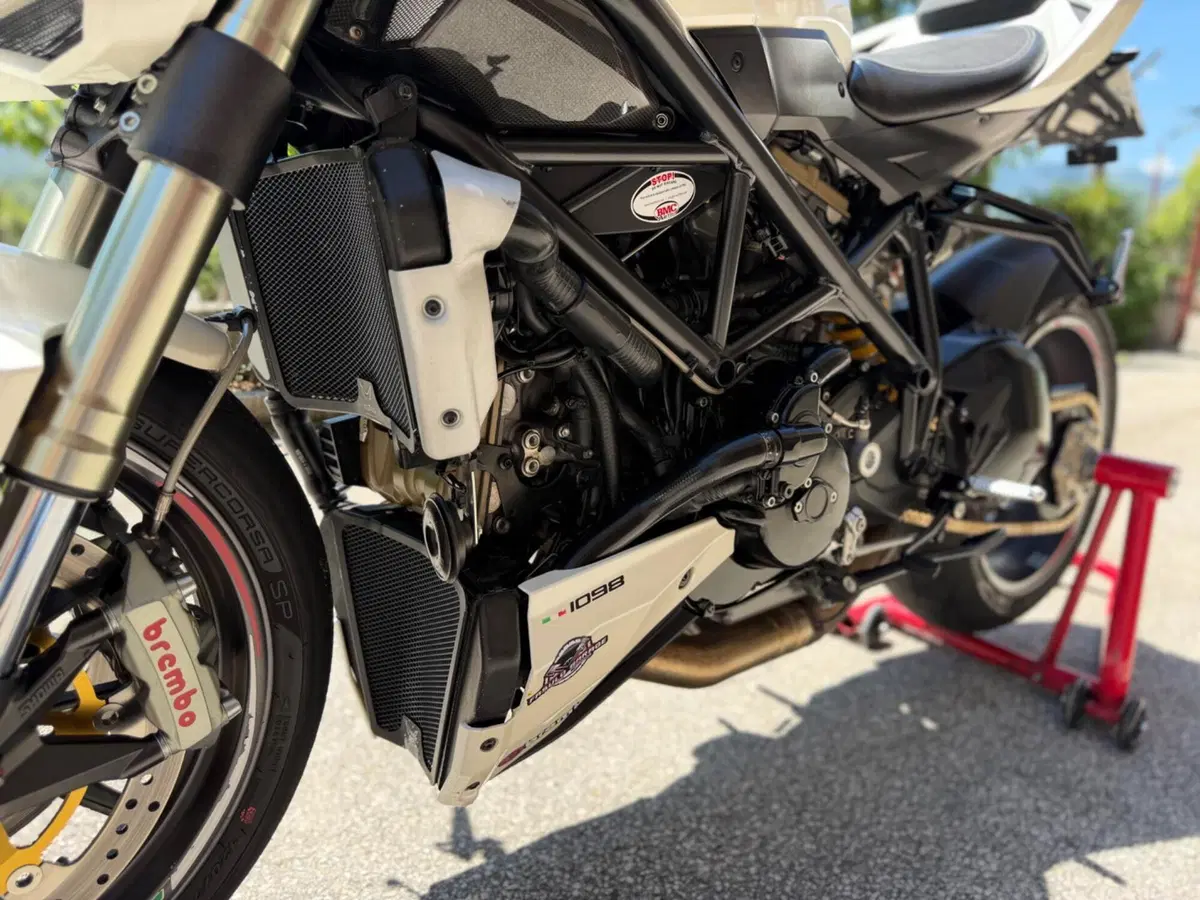 Ducati Streetfighter (2009 - 12) (11)
