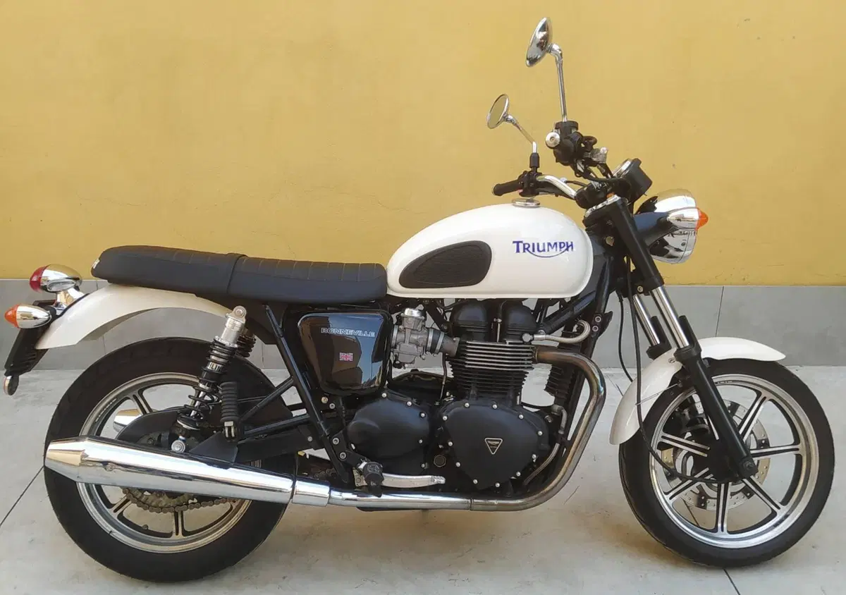 Triumph Bonneville T100 (2008 - 16) (4)