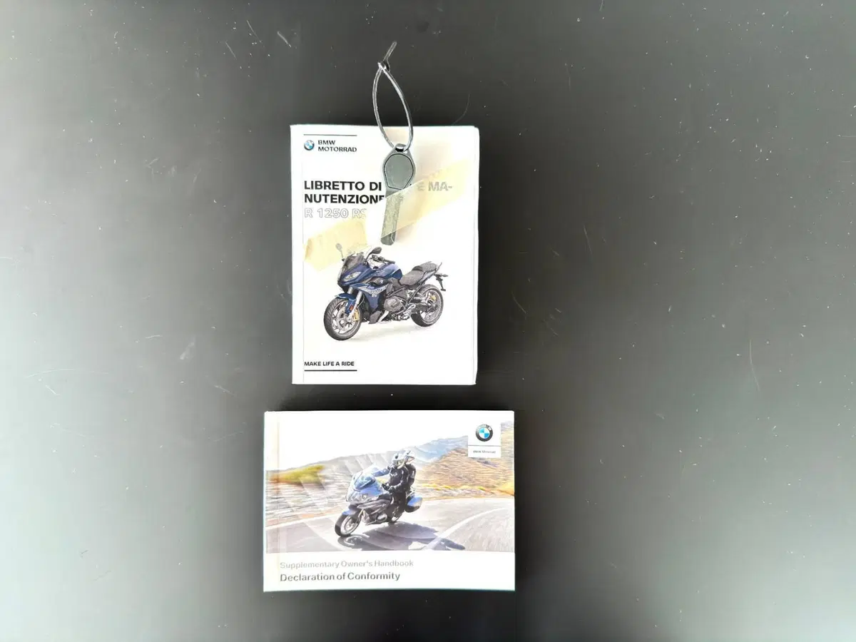Bmw R 1250 RS (2021 - 25) (19)