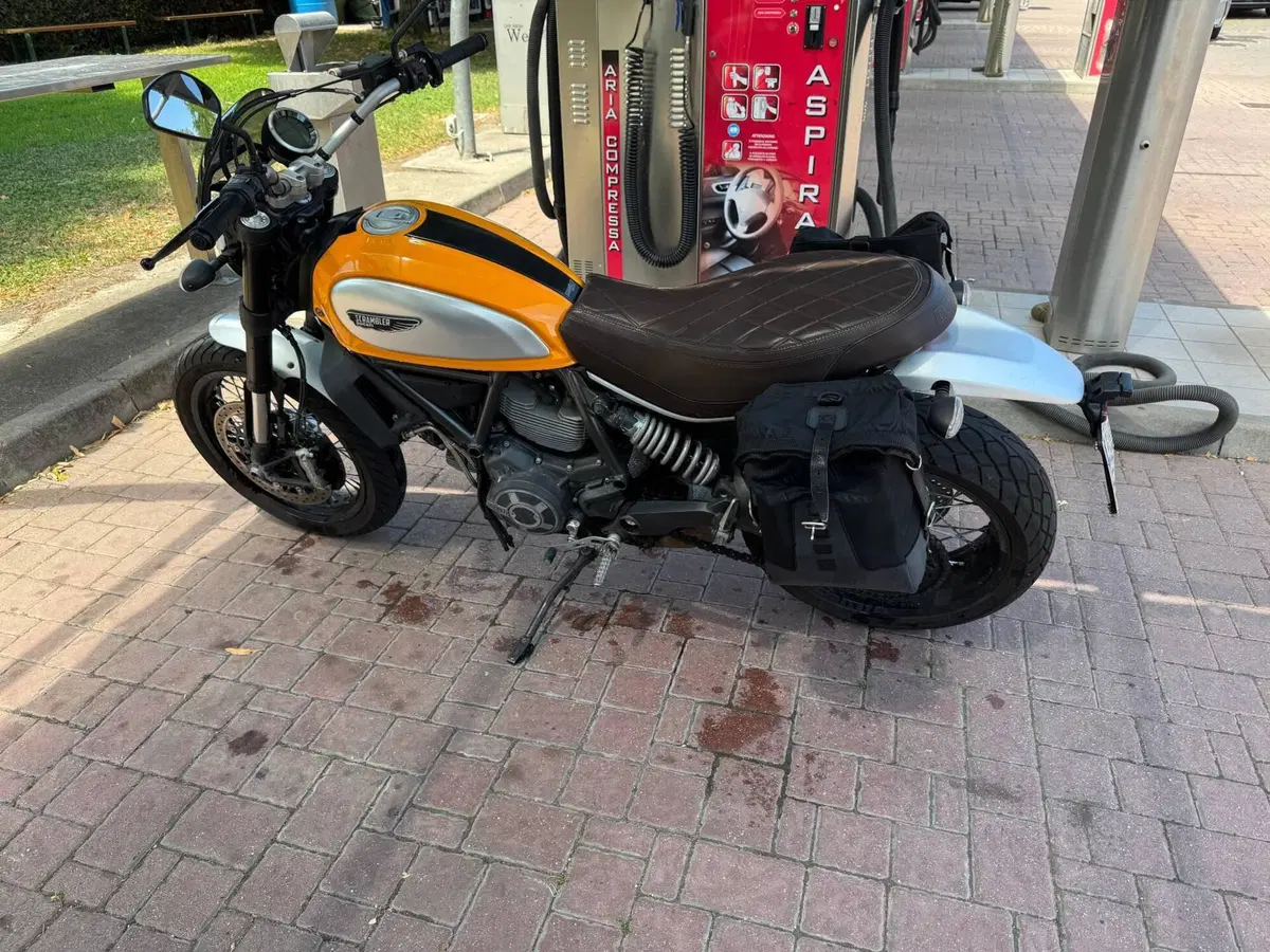 Ducati Scrambler 800 Classic (2015 - 16)