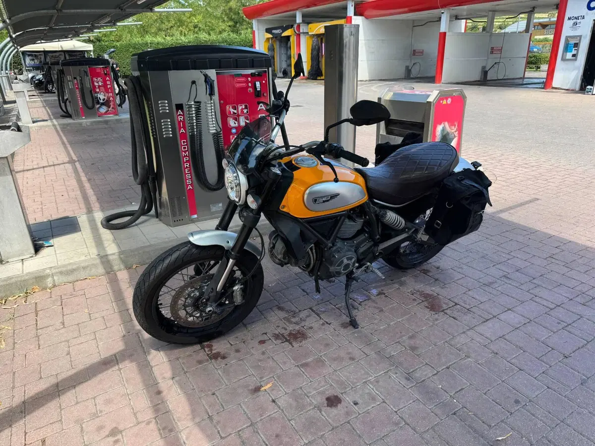 Ducati Scrambler 800 Classic (2015 - 16) (3)