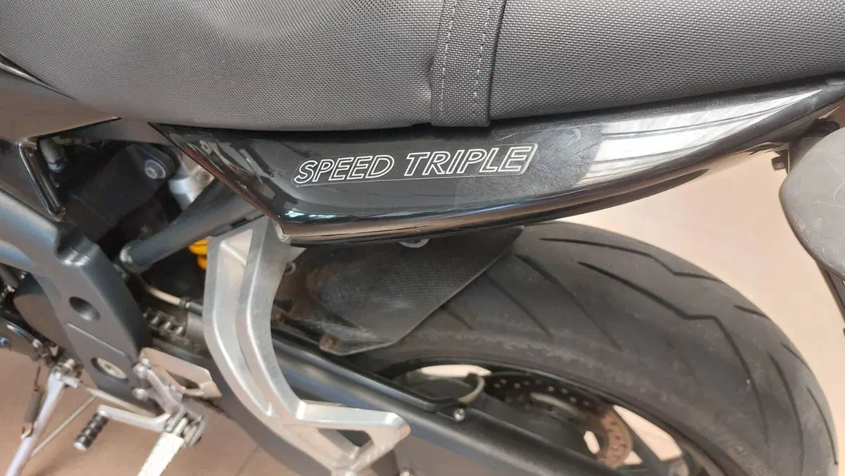 Triumph Speed Triple 1050 (2005 - 11) (3)