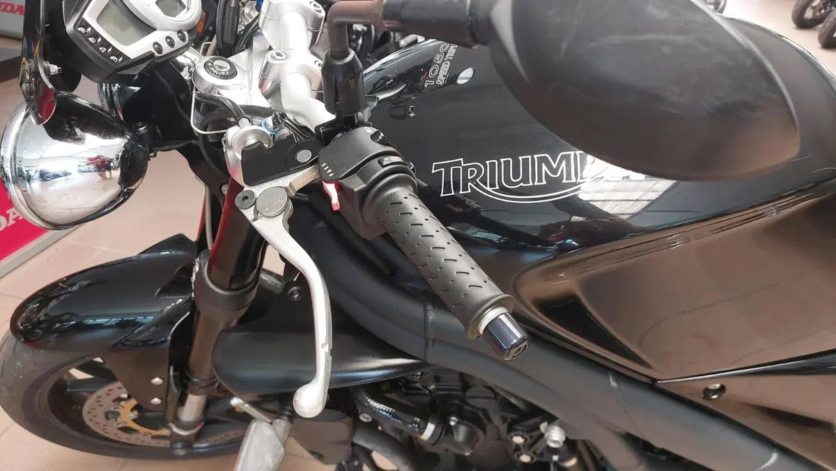 Triumph Speed Triple 1050 (2005 - 11) (2)