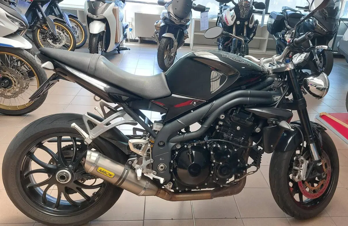 Triumph Speed Triple 1050 (2005 - 11) (5)