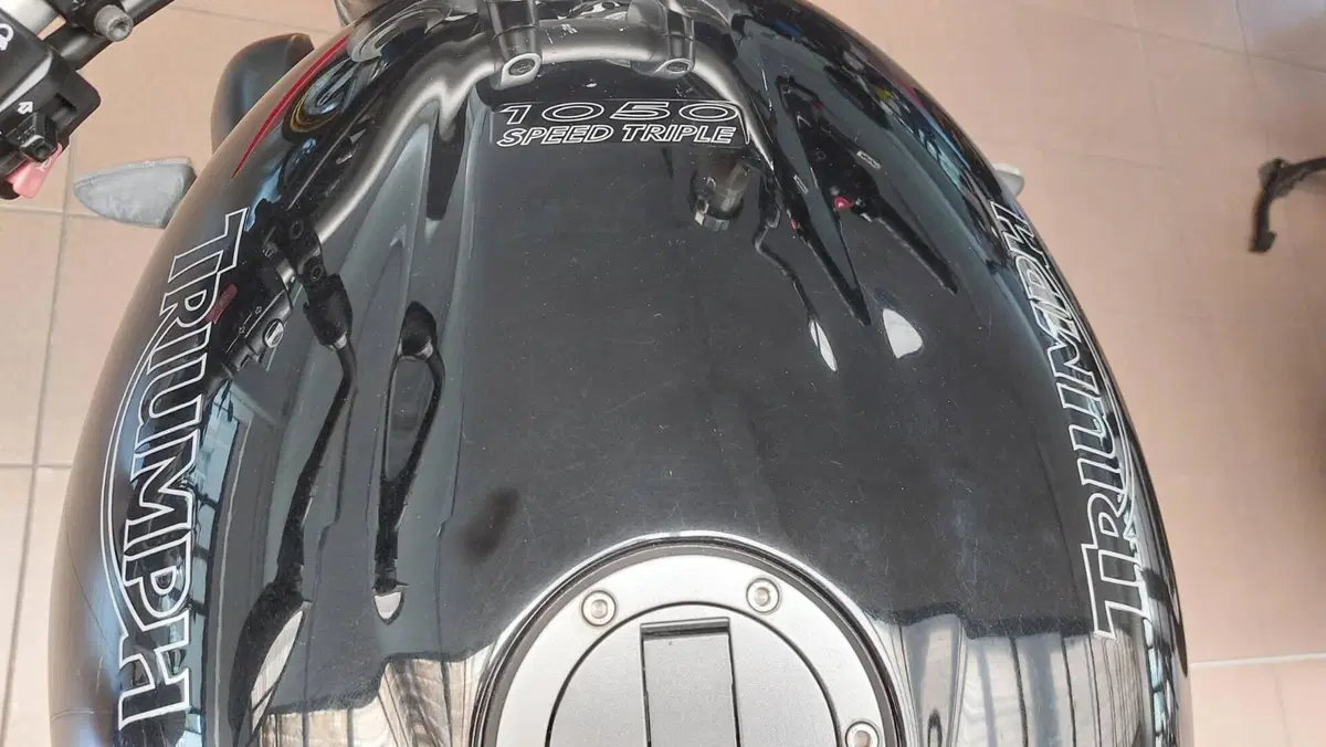 Triumph Speed Triple 1050 (2005 - 11) (7)
