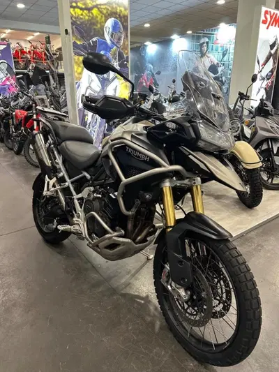 Triumph Tiger 1200 Rally Pro (2024 - 26) usata