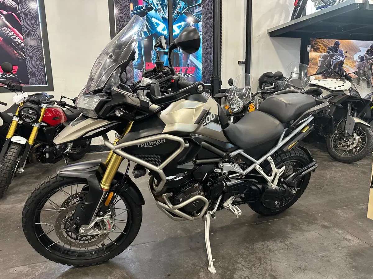 Triumph Tiger 1200 Rally Pro (2024 - 26) (4)