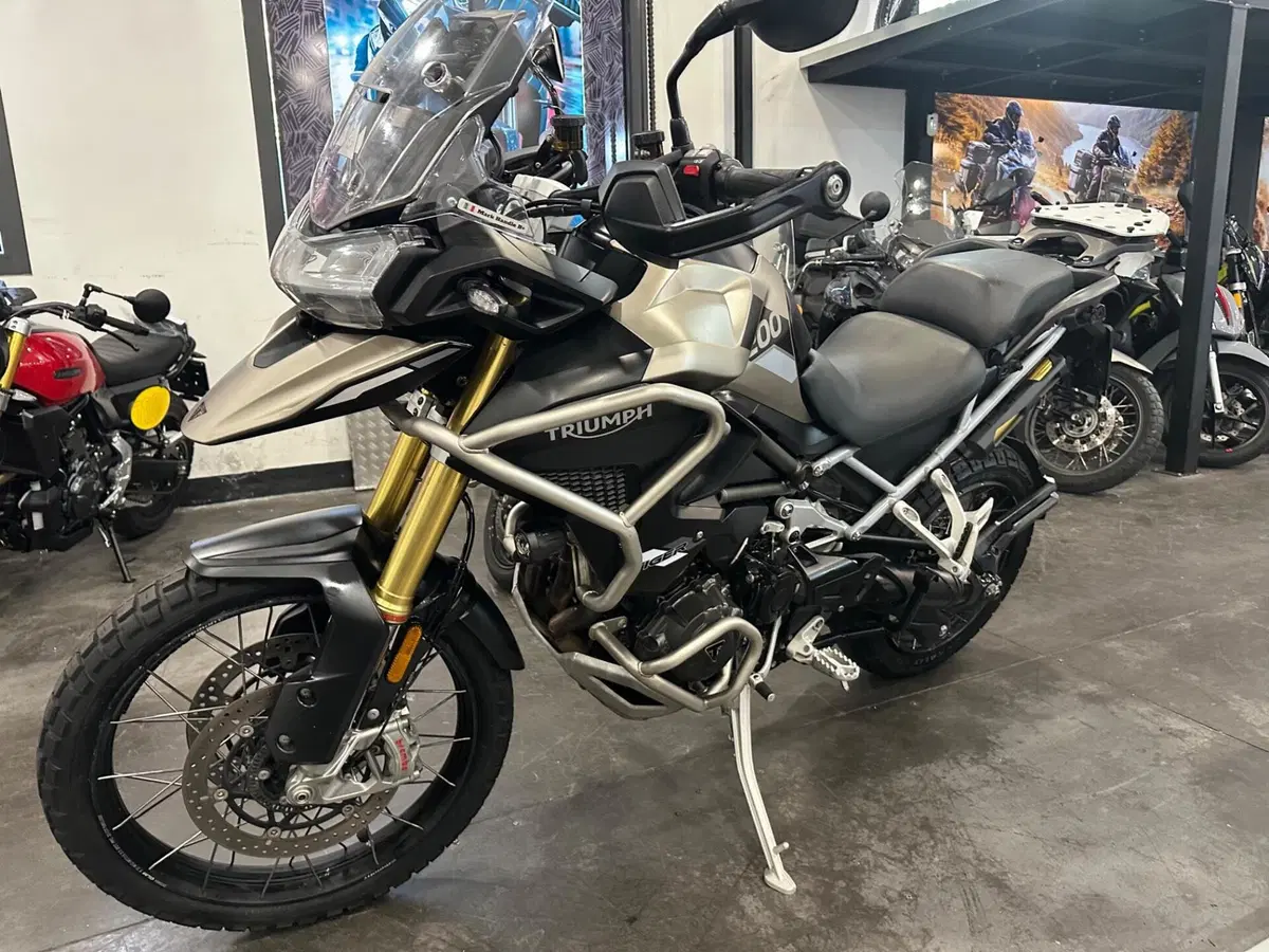 Triumph Tiger 1200 Rally Pro (2024 - 26) (5)