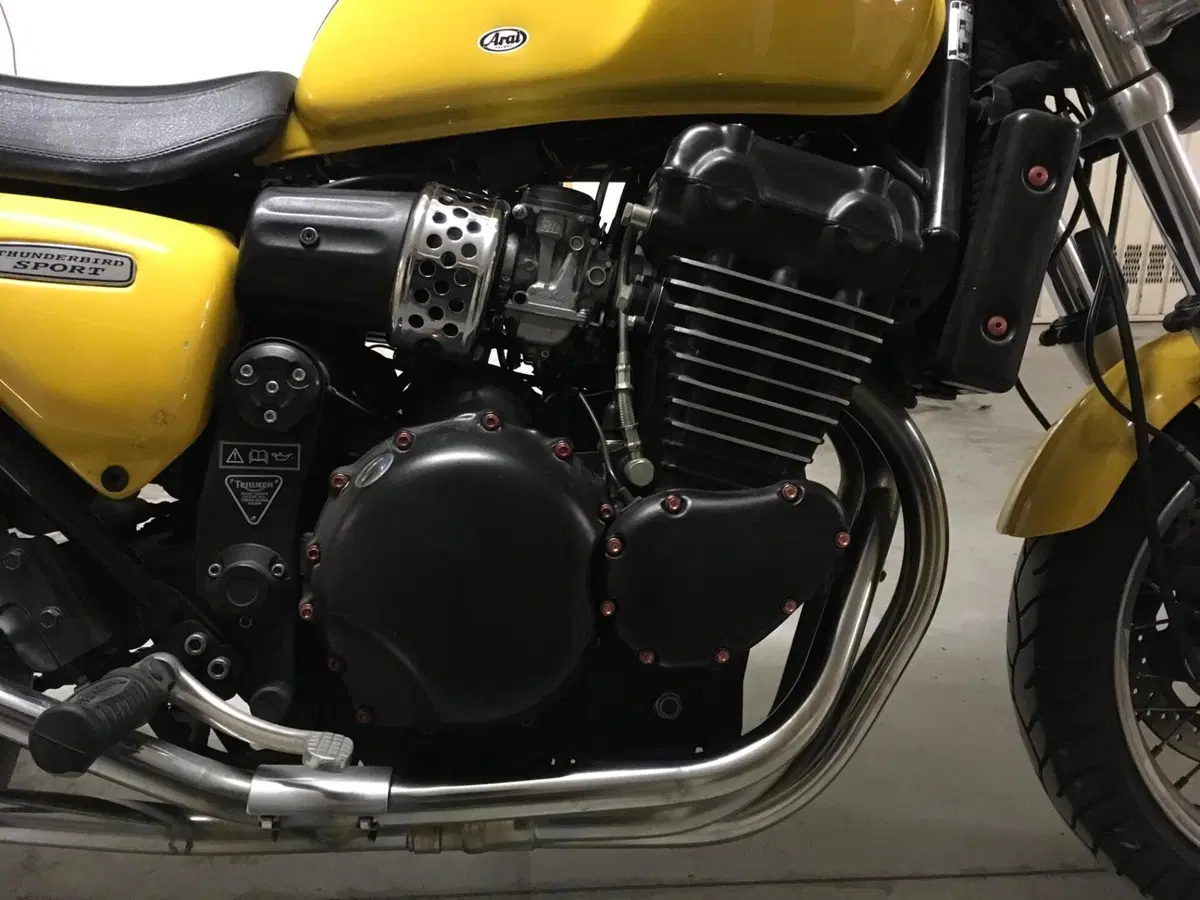 Triumph Thunderbird sport (3)