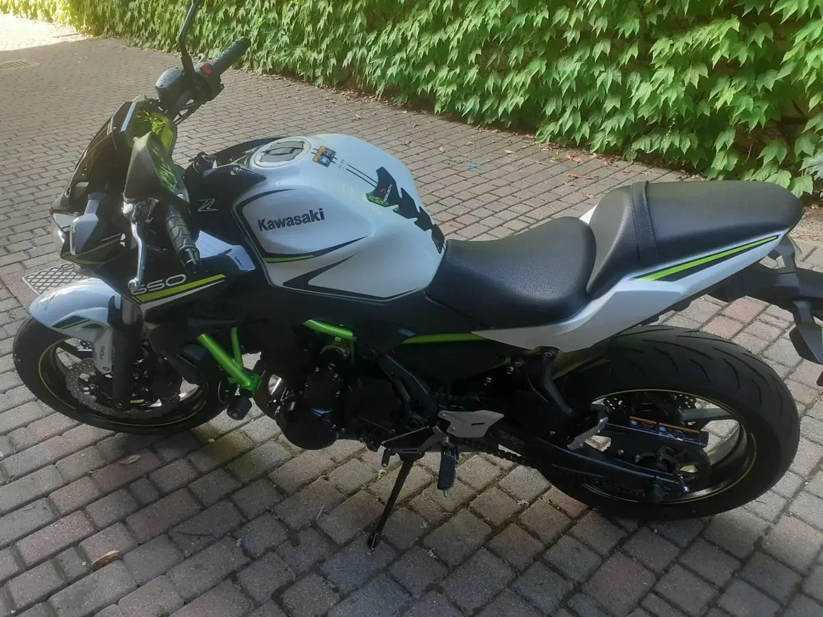 Kawasaki Z 650 (2020) (3)