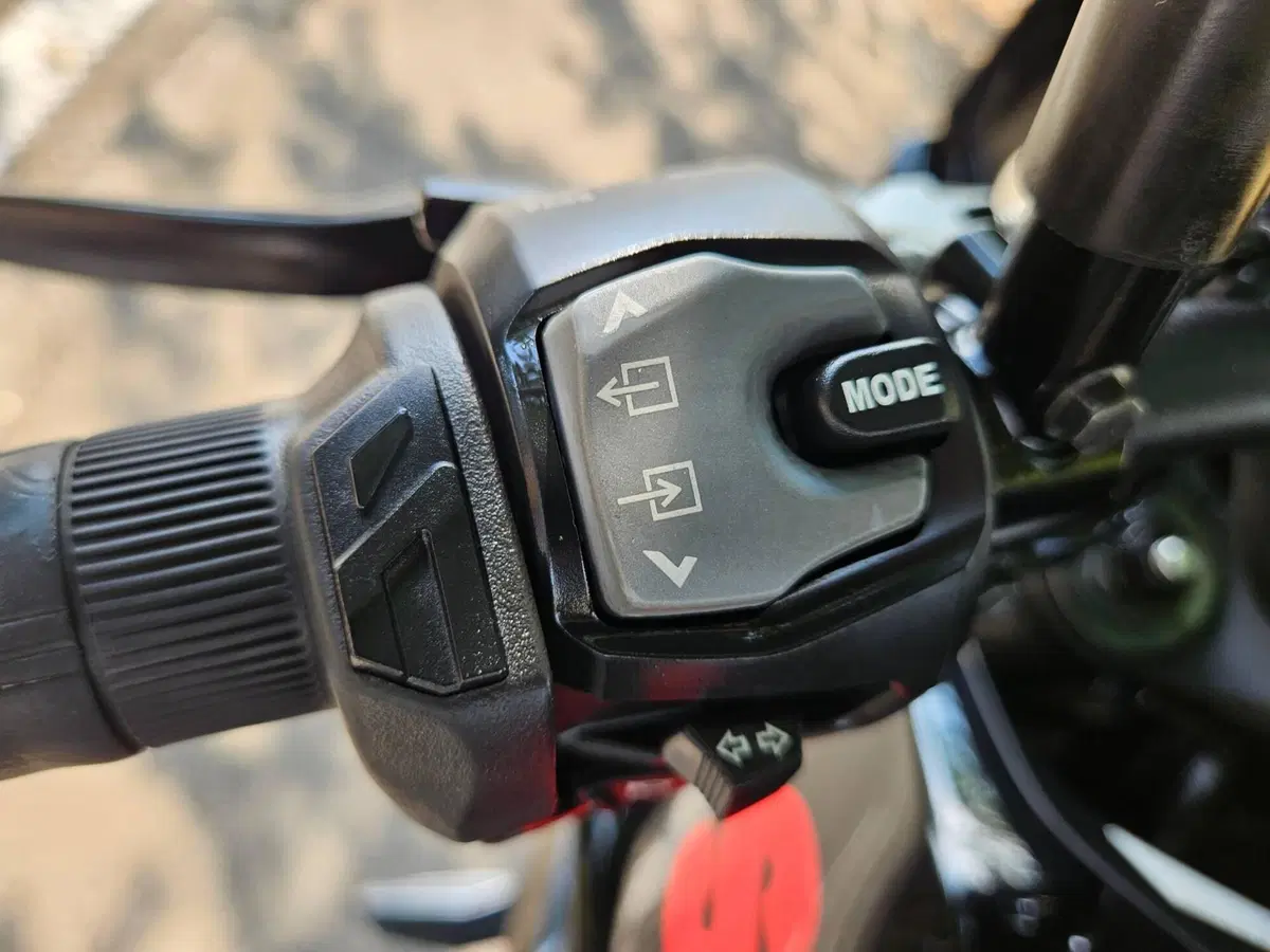 Suzuki Katana 1000 Jindachi (2019 - 20) (11)