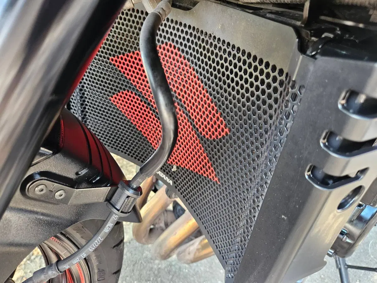 Suzuki Katana 1000 Jindachi (2019 - 20) (14)
