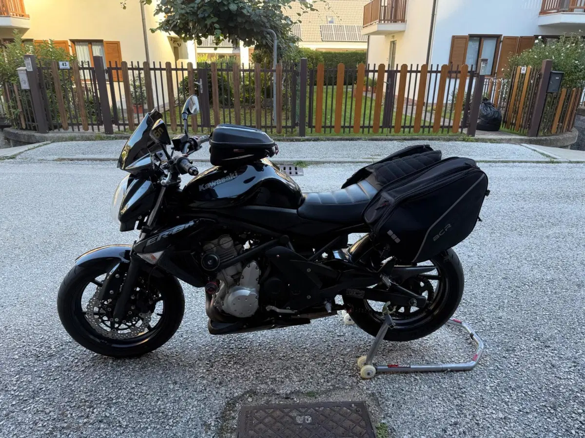 Kawasaki ER-6N (2005 - 08) (6)