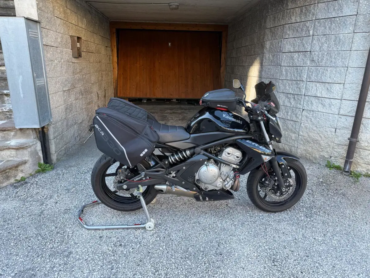 Kawasaki ER-6N (2005 - 08) (3)