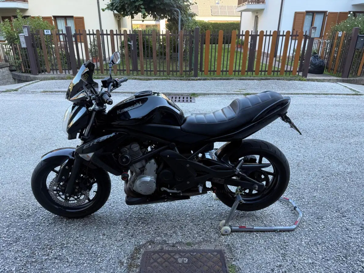 Kawasaki ER-6N (2005 - 08) (7)