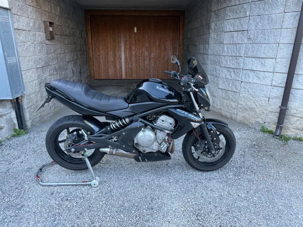 Kawasaki ER-6N (2005 - 08) (8)