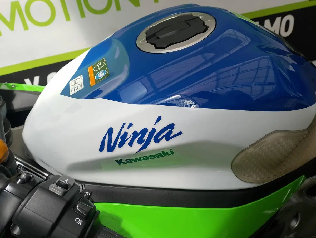 Kawasaki Ninja ZX-4RR 40th Anniversay Edition (2024) (9)