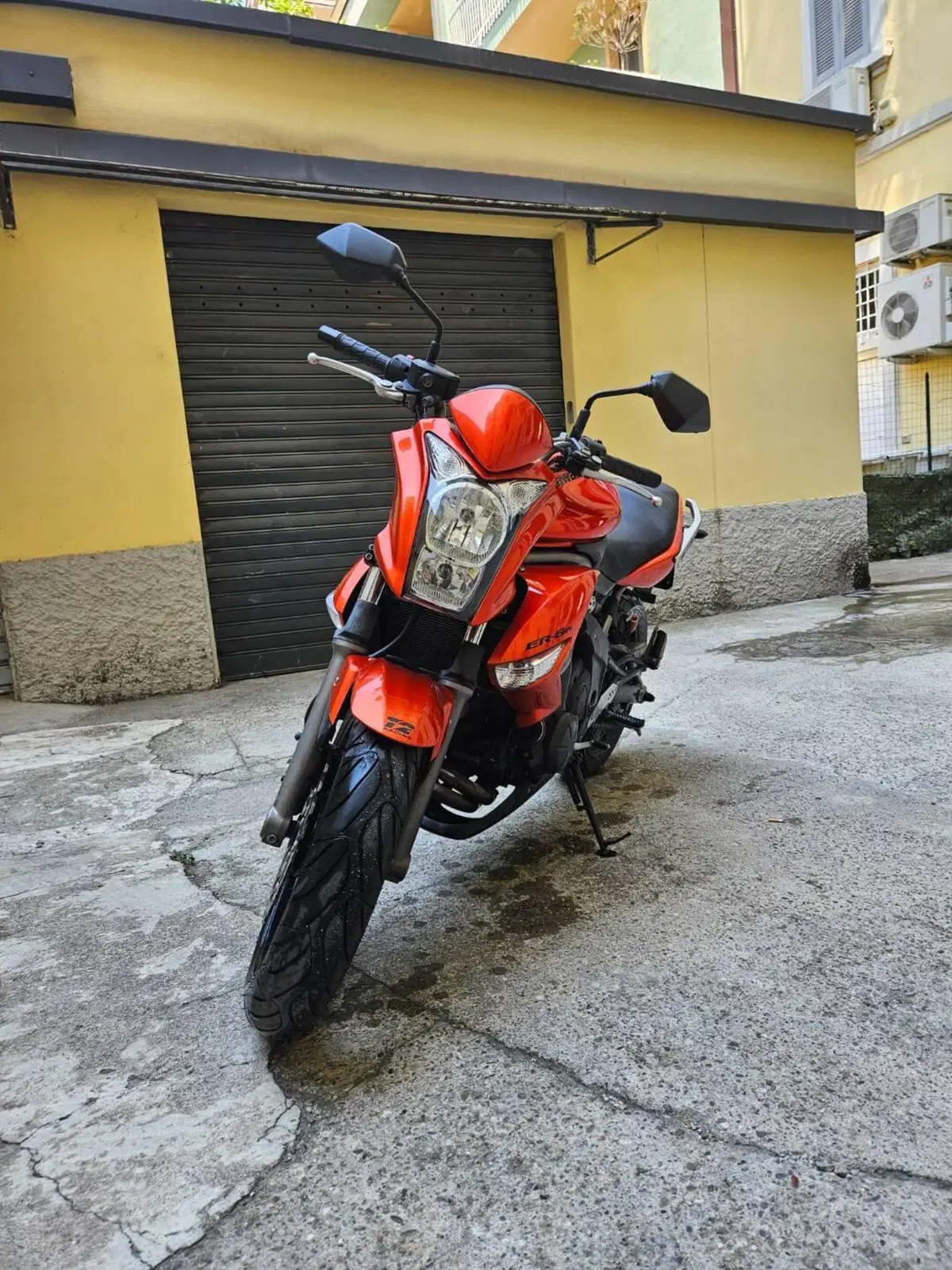 Kawasaki ER-6N (2009 - 11) (2)