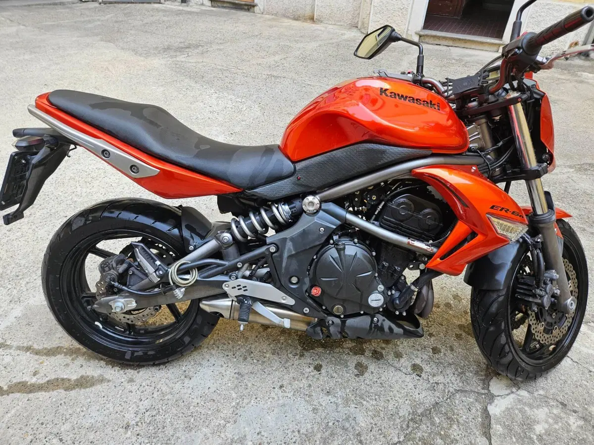 Kawasaki ER-6N (2009 - 11) (5)