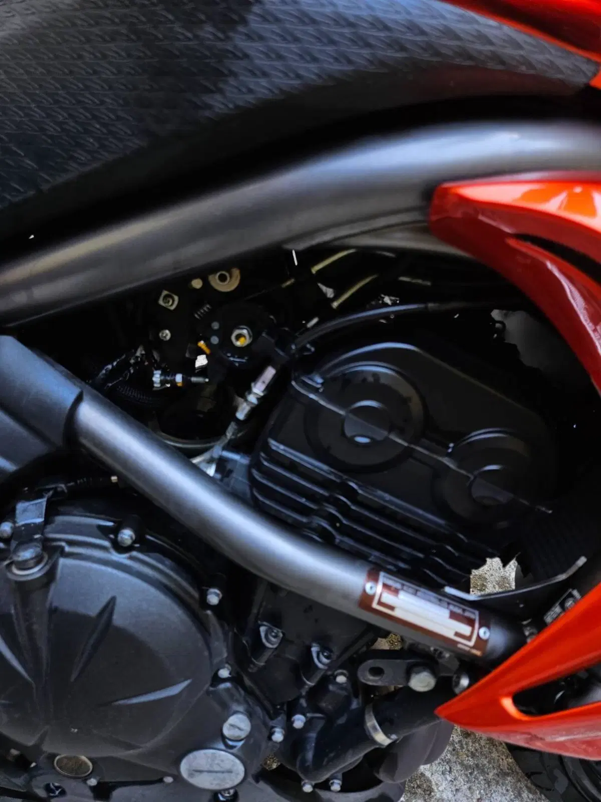 Kawasaki ER-6N (2009 - 11) (8)