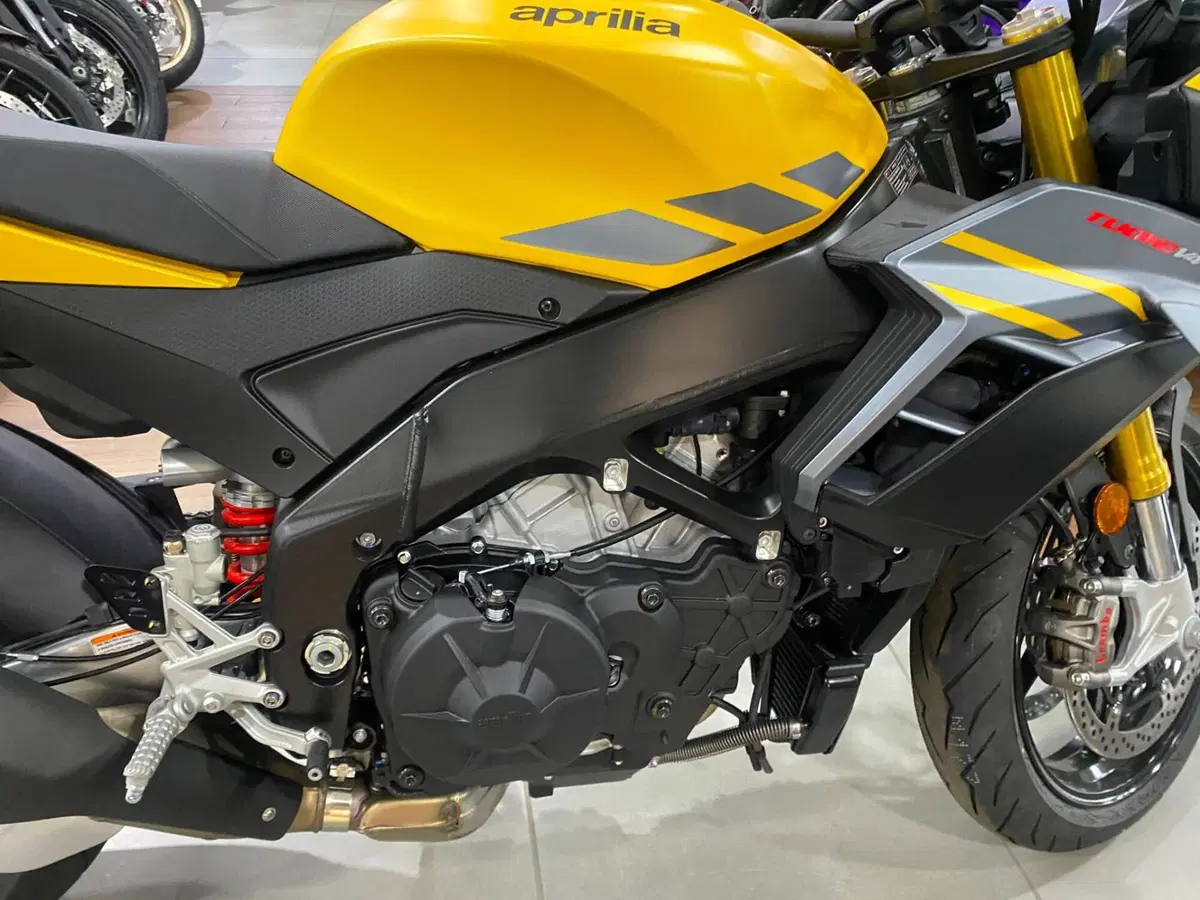 Aprilia Tuono V4 (2025 - 26) (9)