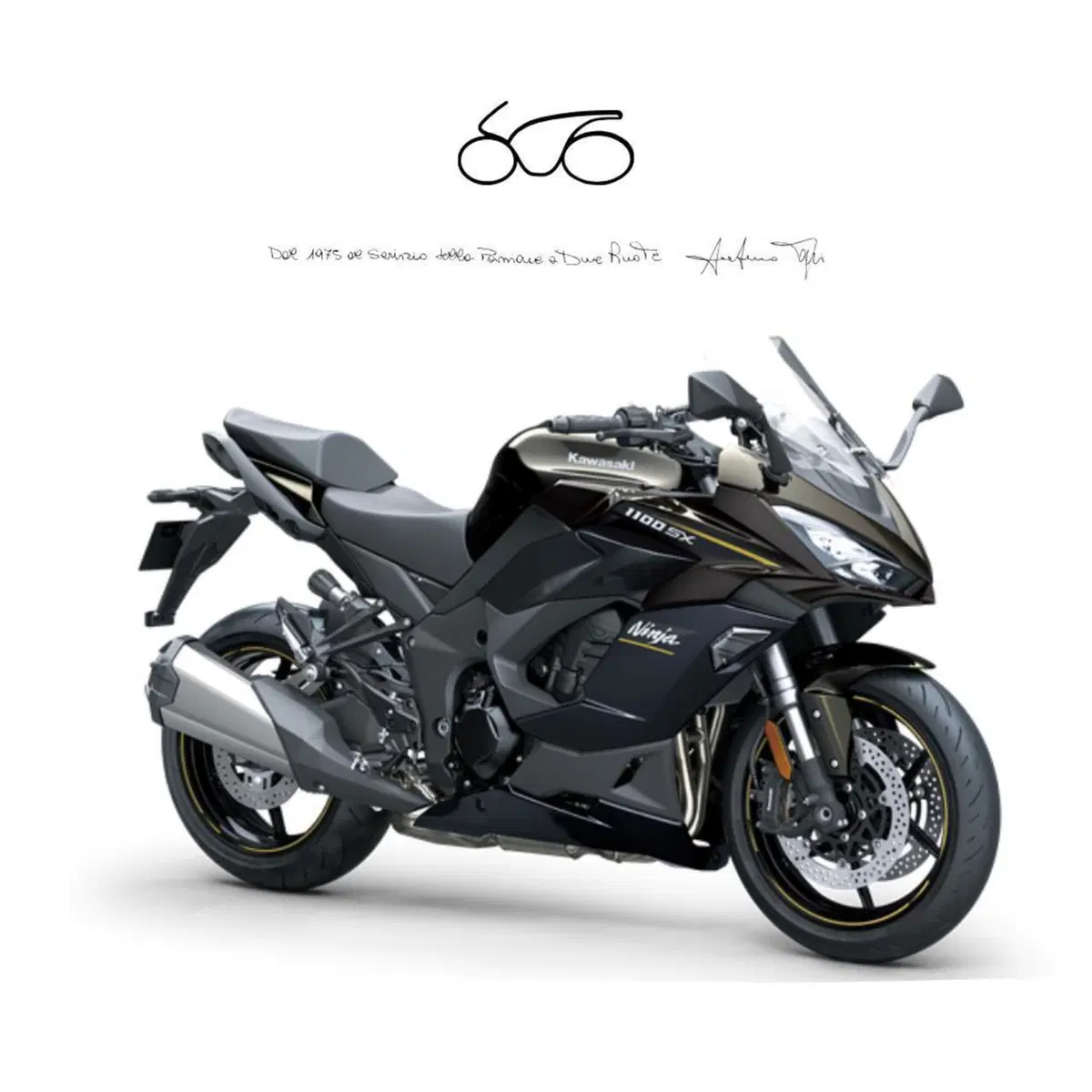 Kawasaki Ninja 1100 SX (2025 - 26)