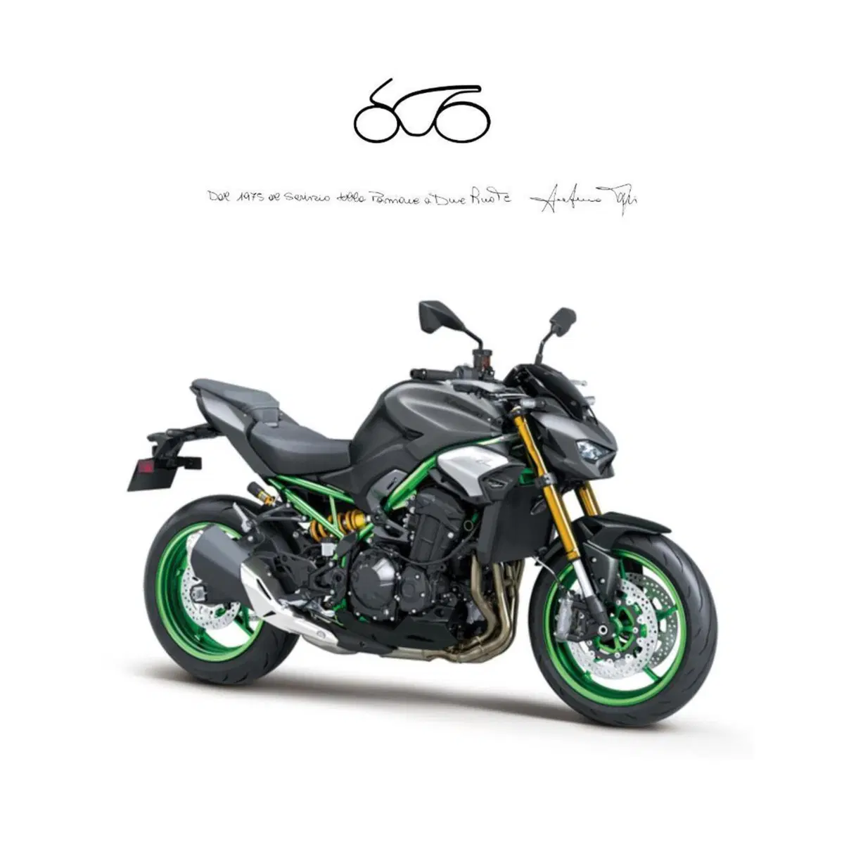 Kawasaki Z 900 SE (2025 - 26)